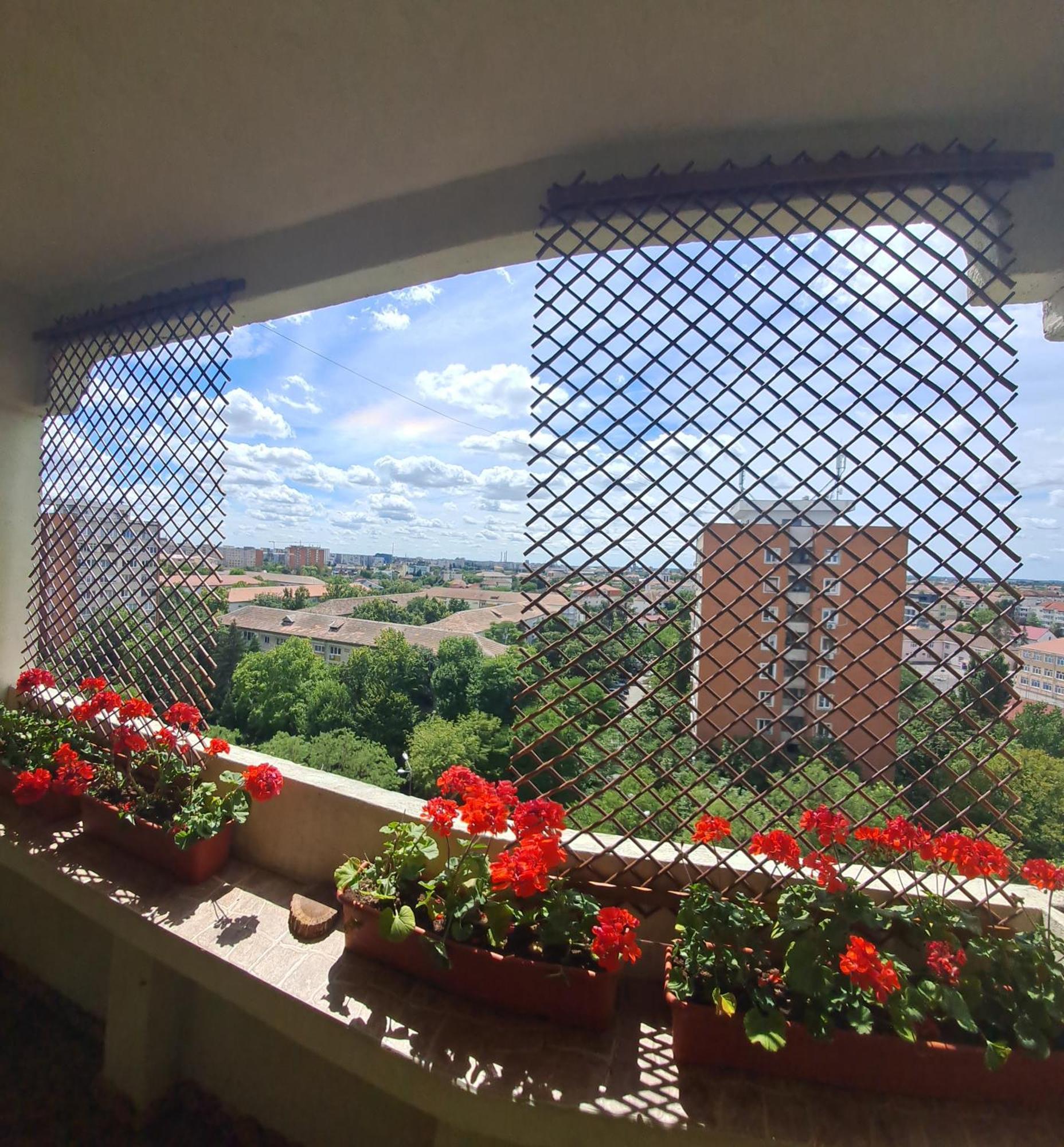 Happy Station Apartman Temesvár Szoba fotó